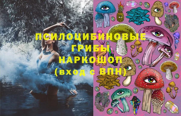 2c-b Алзамай