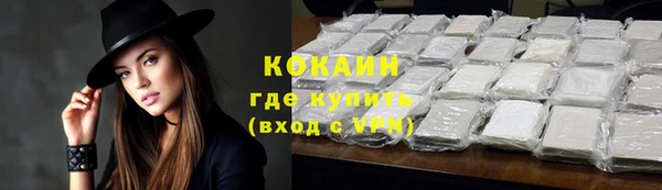 стаф Осташков