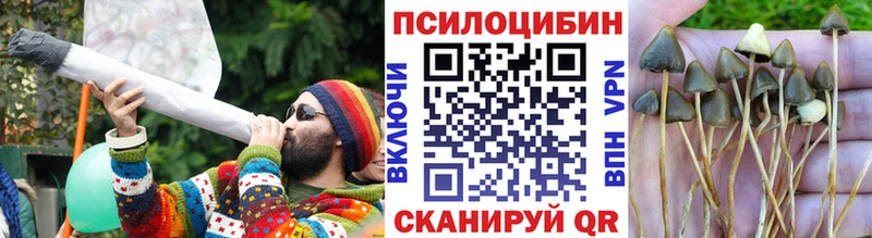 Галлюциногенные грибы мицелий где купить наркоту нарко площадка формула Прохладный