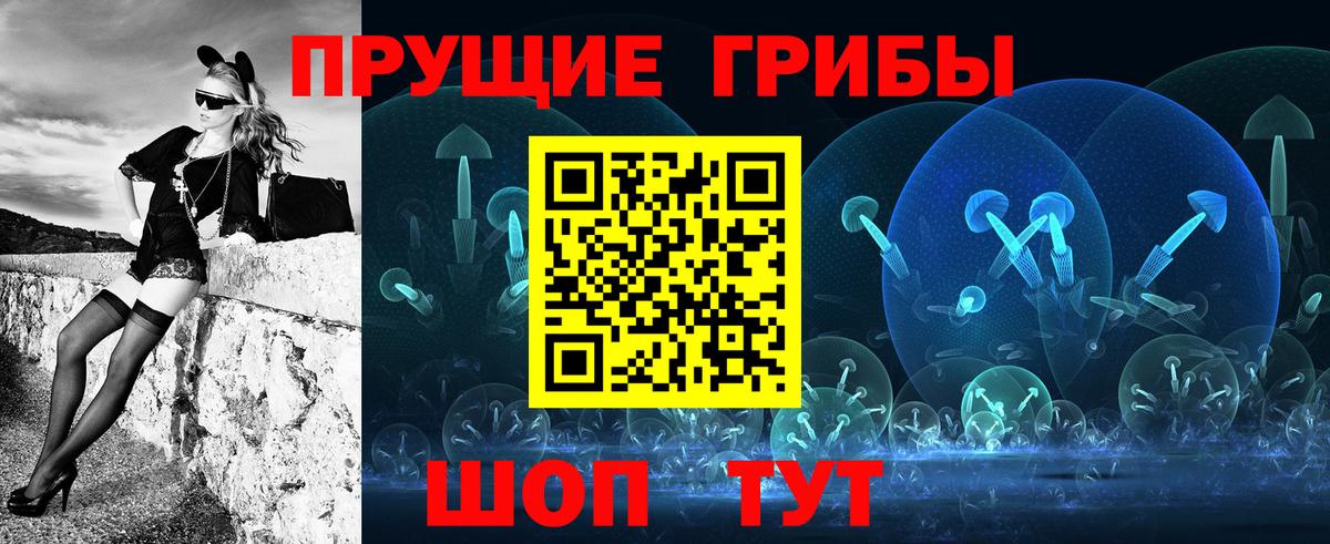 Прохладный  Псилоцибиновые грибы прущие грибы  Вход с VPN 