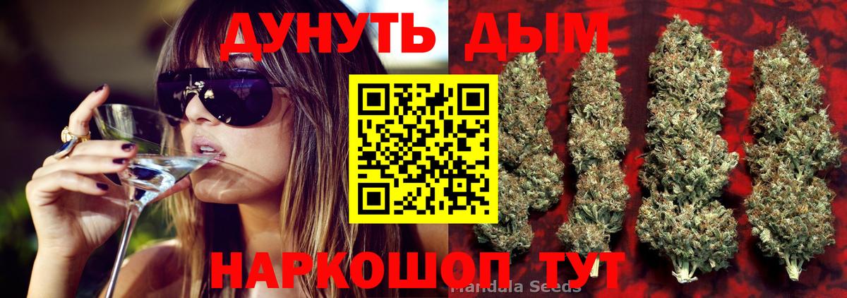 Канабис семена Прохладный