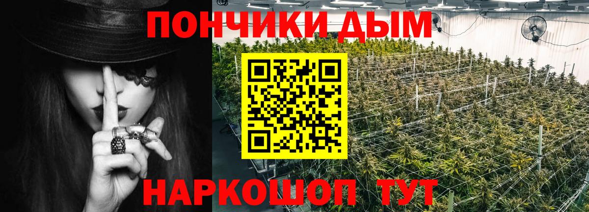Канабис ГИДРОПОН  Бошки Шишки Bruce Banner  Вход с VPN  Прохладный  Марихуана конопля  Бошки Шишки марихуана 